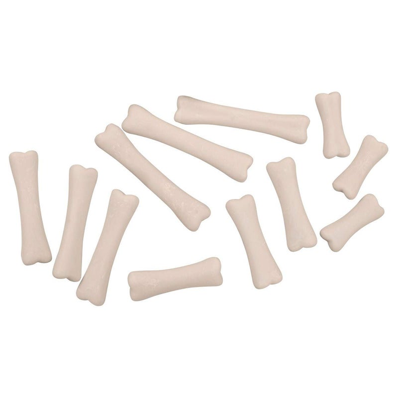 Yellow Door YUS1038 Dinosaur Bones Discovery Set (Pack of 12) - Image 1